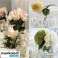 Boules d’irrigation 10000 pcs. Gardlov 24750 photo 4