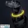 Collier LED réglable Purlov 24200 photo 5