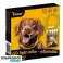 Collier LED réglable Purlov 24200 photo 1