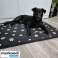 Hundeseng 100x70cm til hund Purlov 24862 billede 4