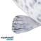 Maskottchen Robbe 60 cm Kruzzel 24644 Bild 5