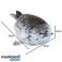 Maskottchen Robbe 60 cm Kruzzel 24644 Bild 3