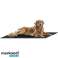 Kühlmatte für Tiere 110x70cm Purlov 25536 Bild 6