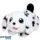 Mascota little live pets perrito con casa dálmata fotografía 5