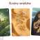 Jeu Dragons KER 272816 photo 3
