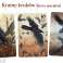 Jeu Dragons KER 272816 photo 5