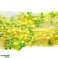Slime krakende skum display 16 stk. bilde 5