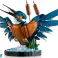 Bausteine Icons 10331 Eisvogel KER 10331 Bild 5