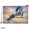 Puzzle 1000 pieces majestic horse image 4
