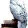 Spiel Harry Potter und Gedankenleser Bild 1
