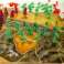 Game Dune: War for Arrakis KER DWOA image 3