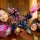 Klocki dreamzzz 71478 nordische Rabe nie-witch Bild 5