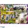 Jigsaw Puzzle 4x250 Pieces Funny Animals image 5