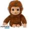 Mascotte interattiva della scimmia Little Live Pets foto 1