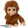 Mascotte interattiva della scimmia Little Live Pets foto 2