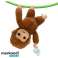 Mascotte interattiva della scimmia Little Live Pets foto 5