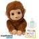 Mascotte interattiva della scimmia Little Live Pets foto 6