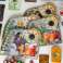 Brettspiel Thorgal KER THBPL Bild 6