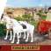 Ziegel imperium romanum Wagen 93 Steine Bild 2