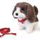 Hund an der Leine, weiß und braun, 14 cm Bild 2