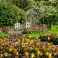 Puzzle 1000 dílků Keukenhof Gardens Nizozemsko fotka 1