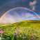 Puzzle 1500 piezas arco iris sobre la pradera fotografía 1
