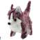 Husky hund som går med lyd viftende hale 6 farger bilde 2