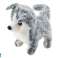 Husky hund som går med lyd viftende hale 6 farger bilde 3