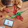 Bricks creator 31161 Middeleeuwse draak foto 4