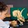 Jurassic World 76969 Dinosaurier-Skelette: Triceratops-Schädel Bild 5
