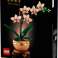 Botanicals 10343 маленька орхідея зображення 1