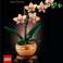 Botanicals 10343 маленька орхідея зображення 2