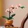 Botanicals 10343 маленька орхідея зображення 6