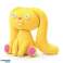 Pâte à modeler Hey Clay figurines animaux en peluche. lapin photo 6