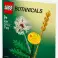 Botanicals 30701 fleurs sauvages v29 photo 1