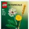 Botanicals 30701 fleurs sauvages v29 photo 2