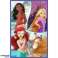 Puzzle 3x80 Teile Prinzessin und Disney Freund Bild 1