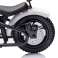 Accu Motor A9902 36V Wit foto 5