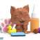 Figurine d’un chat sale dans le bain bonus set. Boîtes photo 1