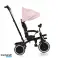 Tricycle berry pink rose image 1