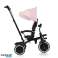 Tricycle berry pink rose image 2