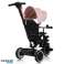 Tricycle berry pink rose image 5