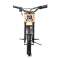 Motorrad Cross Batterie A9901 Khaki 36V Bild 3