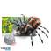 Araña Tarantula Control Remoto Infrarrojo Negra R/C ST fotografía 1