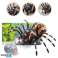 Araña Tarantula Control Remoto Infrarrojo Negra R/C ST fotografía 3