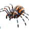 Fernsteuerbare Spinne mit Infrarot und Dampfeffekten Bild 1
