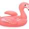 Oppblåsbar flamingo 138 x 107 cm Bestway 41525 bilde 3