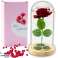 Eternal Rose in Glass Dome with LED Lighting Red 21x11cm image 1