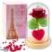 Mūžīgā Roze Kupolā ar LED Apgaismojumu Sarkana ar Sirds 14x8cm attēls 1