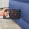 Ηλεκτρική αντλία για πρίζα Powergrip PRO Bestway 62247 εικόνα 5